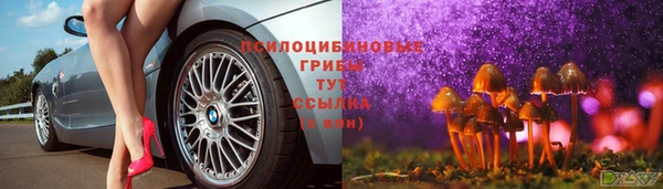 мяу мяу мука Покров